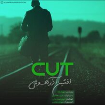 دانلود آهنگ جدید  افشین آذرهوش به نام کات (ریمیکس)